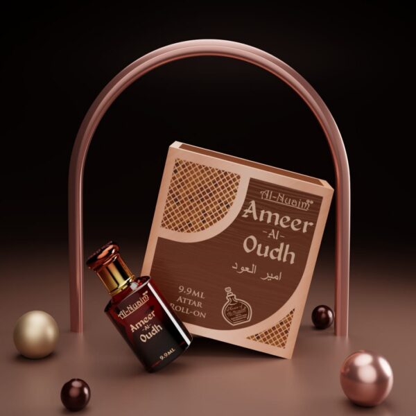 9.9ML AMEER AL OUDH (PACK OF 6)